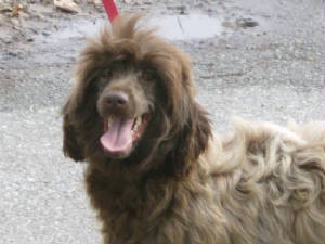Jiggs01-12-2008009.jpg