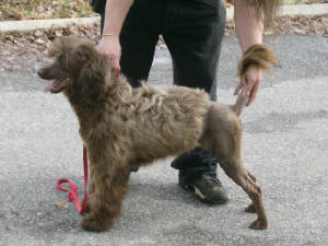 Jiggs01-12-2008009.jpg