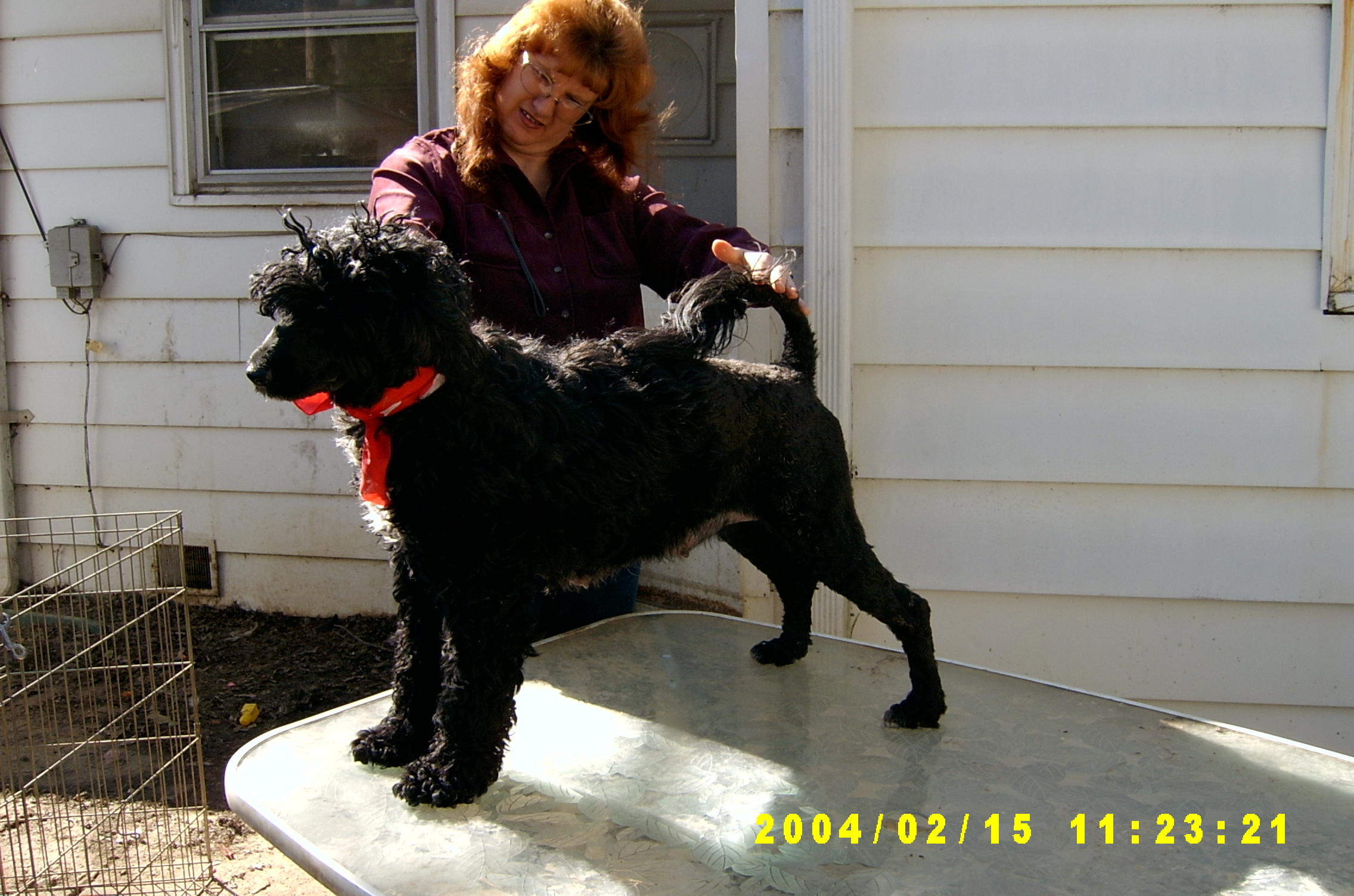 Feb122004060.jpg