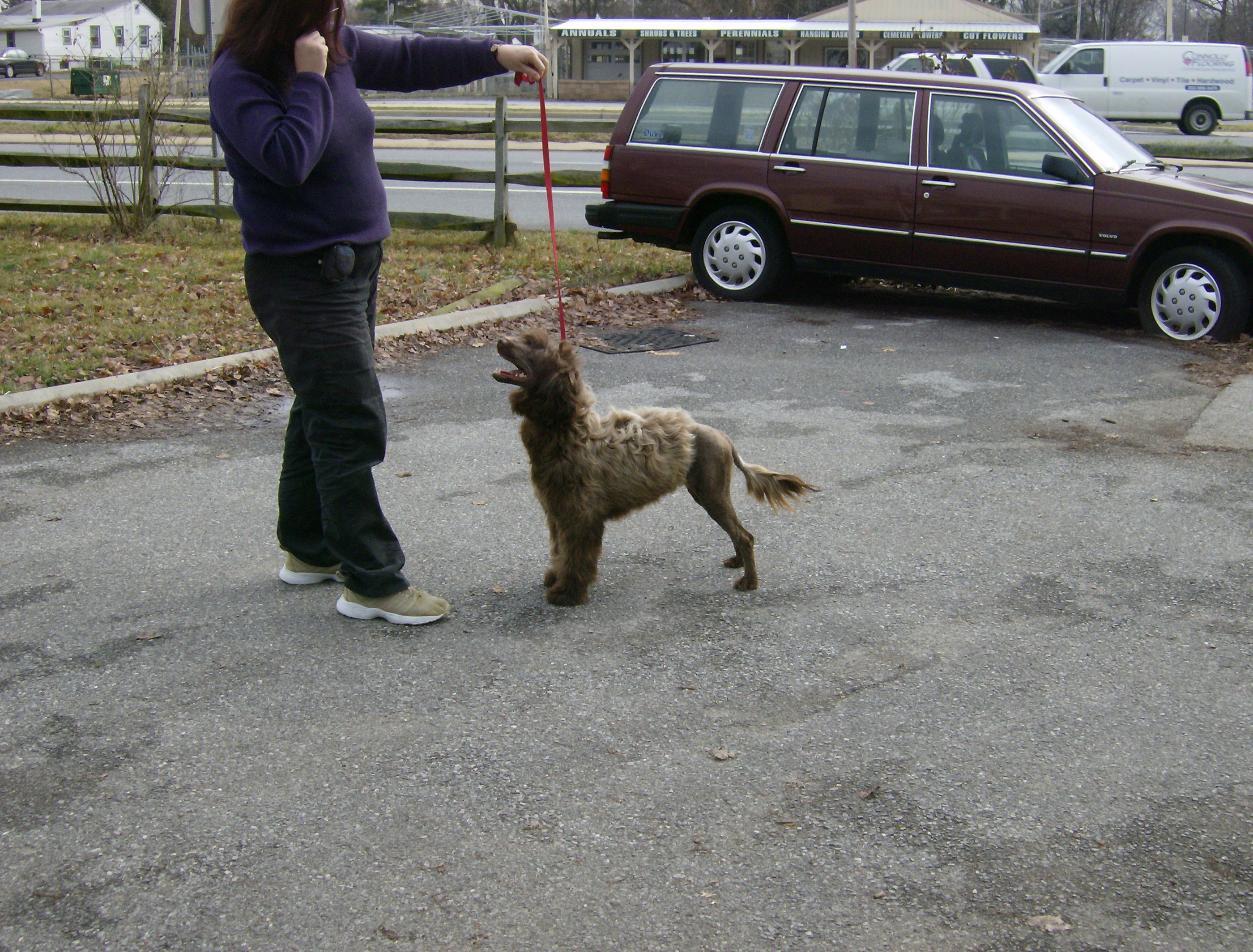 Jiggs01-12-2008009.jpg